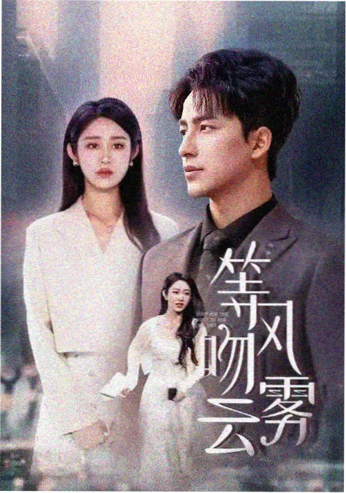 岁月如歌 电视剧 2025